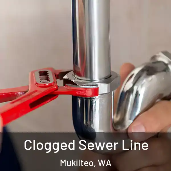  Clogged Sewer Line Mukilteo, WA