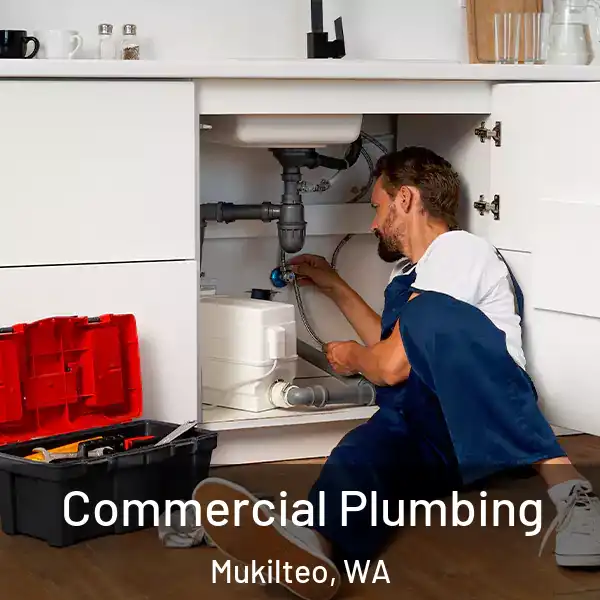  Commercial Plumbing Mukilteo, WA