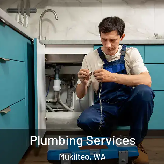 Plumbing Services Mukilteo, WA