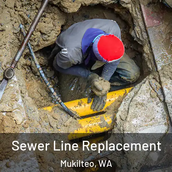  Sewer Line Replacement Mukilteo, WA